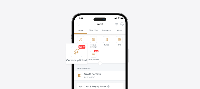 Customise your own Currency Linked Investment online