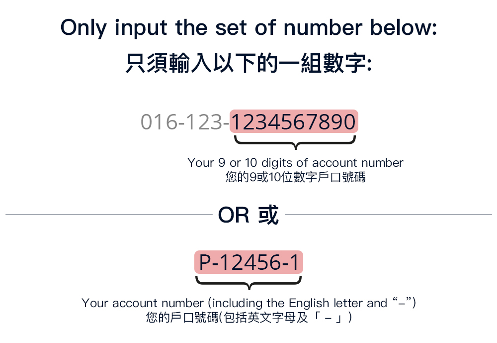 account number input tool tip