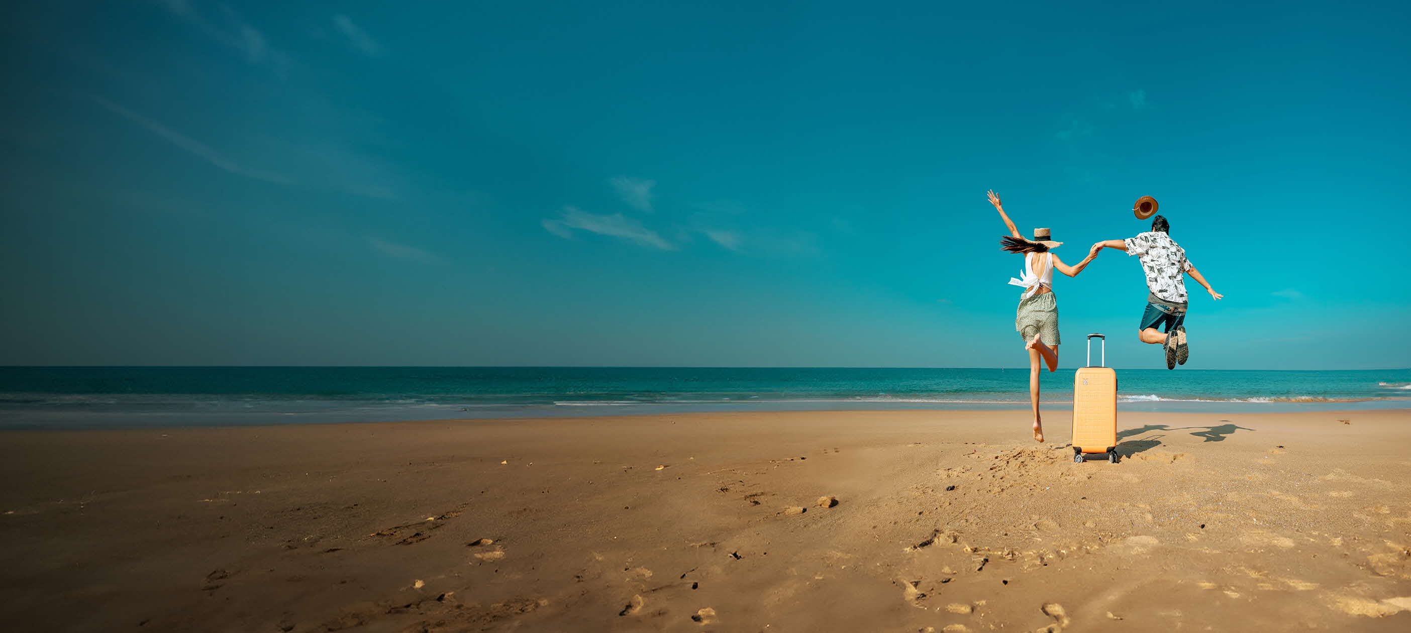 TravellerShield Insurance